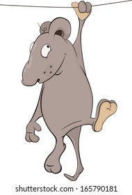 Mouse cartoon