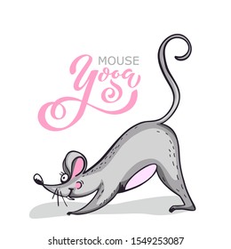 Уoga mouse. Cartoon character practicing yoga mouse. character set. Positive rat. Illustration for a car or clothes. Vector illustration.