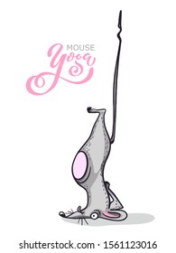 Уoga mouse. Cartoon character practicing yoga mouse. character set. Positive rat. Illustration for a car or clothes. Vector illustration.