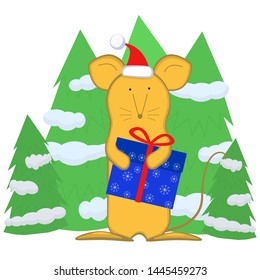 Mouse with Christmas gift on fir trees background isolated image. The symbol of the Chinese new year 2020