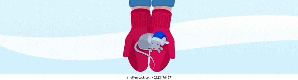 A mouse with a Christmas hat sleeps in the hands of a person. New Year illustration with cute animal