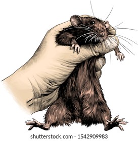 mouse clenched in fist and holding on weight, sketch vector graphics color illustration on white background