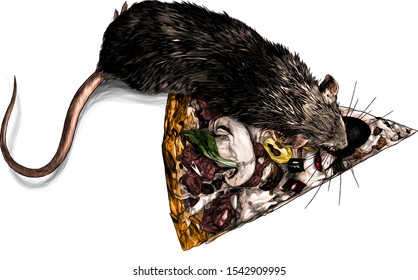 mouse crawling on a piece of cheese pizza with mushrooms and sausage, sketch vector graphics color illustration on white background