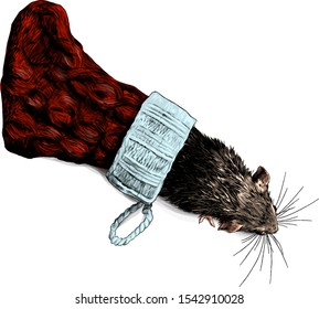 mouse crawls out of Christmas warm knitted sock top view, sketch vector graphics color illustration on white background