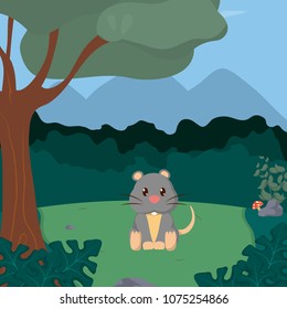 Mouse cute animals cartoons