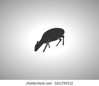 Mouse Deer Silhouette on White Background. Isolated Vector Animal Template for Logo Company, Icon, Symbol etc