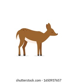 
the mouse deer vector logo