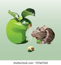 The mouse is eating an apple , cartoon. Vector illustration