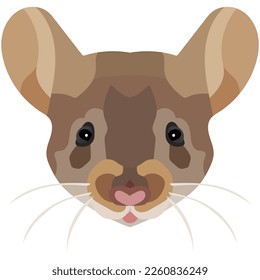 Mouse face. An illustration of the muzzle of a beautiful rat is depicted. Bright portrait on a white background. Vector graphics. animal logo