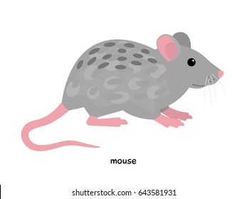 Mouse farm animal vector illustration