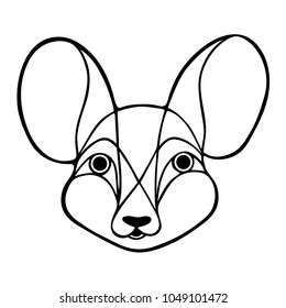 Mouse full face in