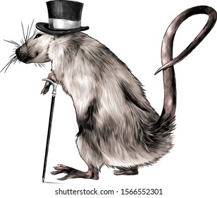 436 Cane Rat Images, Stock Photos & Vectors | Shutterstock