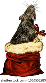 mouse with gift box in paws climbs out of Christmas bag and standing on his hind legs looking up with his back turned, sketch vector graphics color illustration on white background