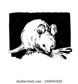 Mouse. Hand drawn vector animal illustration. Isolated
