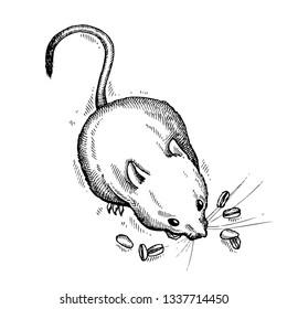 Mouse. Hand drawn vector animal illustration. Isolated