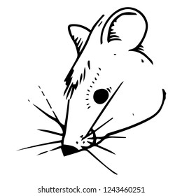 Mouse hand drawn. Vector illustration of cartoon mouse. Funny rat.