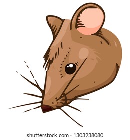 Mouse hand drawn. Vector illustration of cartoon mouse. Funny rat.