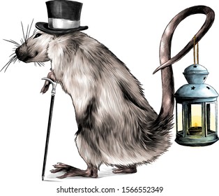 a mouse in a hat and with a cane stands tall with a curved tail and holds in it a Christmas lantern with a candle inside, sketch vector graphics color illustration on a white background
