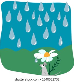 Mouse hiding from rain, illustration, vector on white background