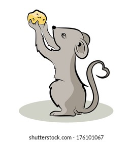 Mouse holding a piece of cheese