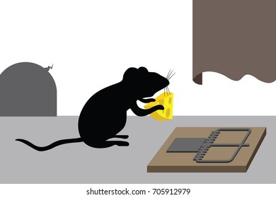 mouse holds cheese from mousetrap 