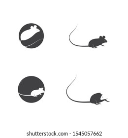 Mouse icon Vector illustration design