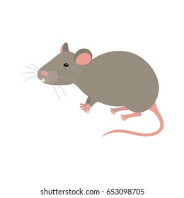 mouse isolated on white