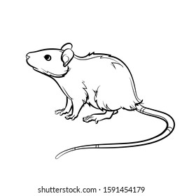 The mouse. Line drawing. Vector illustration.