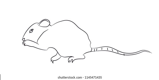 mouse lines, vector, white background