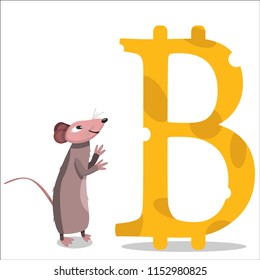 Mouse looking at cheese bitcoin. Mouse admiring bitcoin. Crypto-currency. Vector