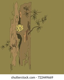 The mouse looks out of the pine hollow
