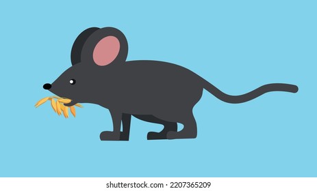 ratón sobre un fondo azul