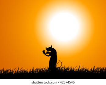 mouse on field