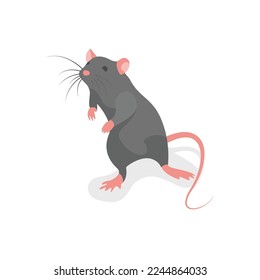 Mouse on hind legs. Gray rodent close-up. Vector illustration flat design. Isolated on white background.