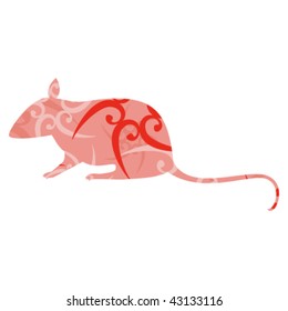mouse on white background