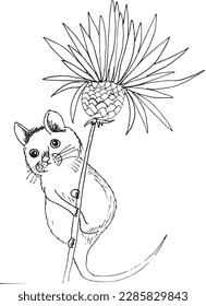 Mouse outline illustration vector image. Hand drawn mouses sketch image artwork. Simple original logo icon from pen drawing sketch.