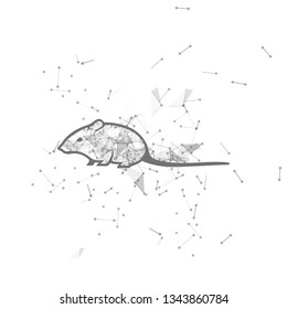 mouse.  Polygonal wireframe mouse silhouette. low poly vector illustrations on background of points and lines.