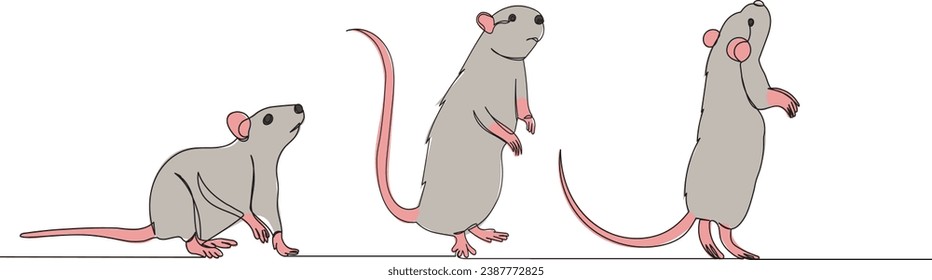 mouse, rat line drawing, outline, vector