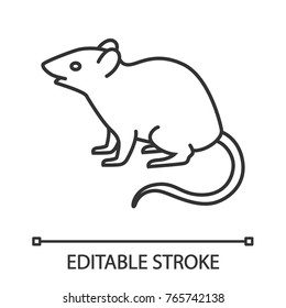 Mouse, rat linear icon. Rodent. Thin line illustration. Pest. Contour symbol. Vector isolated outline drawing. Editable stroke