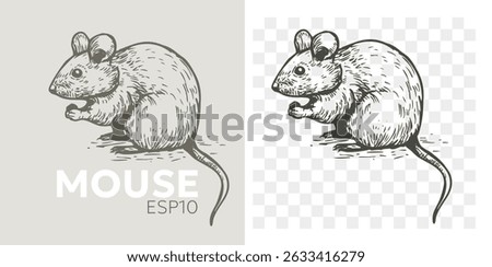 Mouse, rat, realistic illustration, vector sketch, hand drawn, monochrome