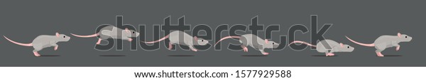 Mouse or rat running animation loop. Animated 2D\
character in a cartoon\
style.\

