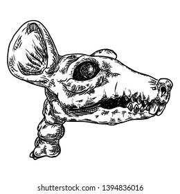 Mouse or rat skeleton skull. Witchcraft magic, occult attribute decorative element. Vector.