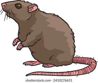 Mouse Rat Standing Wild Animal Vector Illustration