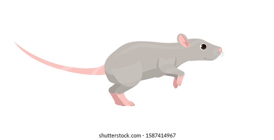 A Mouse Or Rat Stands On Its Hind Legs, Jumps Or Climbs Somewhere. Home Wrecker Or A Field Rodent In A Cartoon Style.
