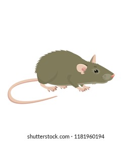 Mouse, Rat Vector Sign Illustration. Rat Isolated On White Background. Rat Vector Disease. Harmful Rodent. House Mouse Vector Drawing.