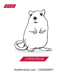 mouse rats vector icon symbol