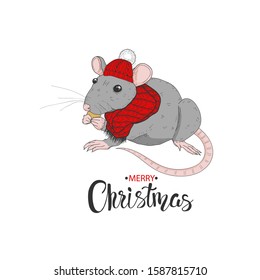 Mouse with red hat adn scarf isolated on white. Vector illustration.