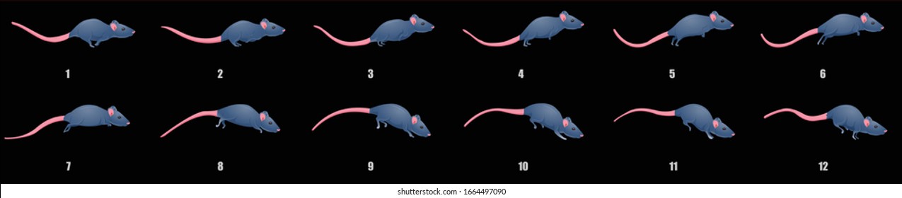 Mouse run cycle animation frames, loop animation sequence sprite sheet