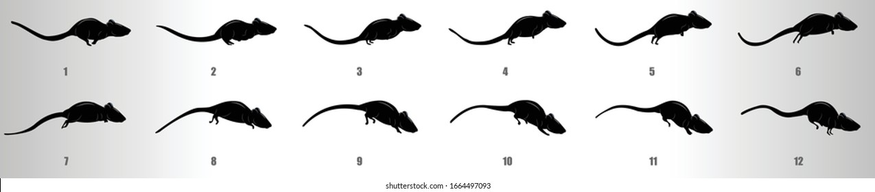 Mouse run cycle animation frames, loop animation sequence sprite sheet