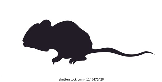 mouse silhouette, vector, white background